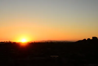 DSC_1475 (Large).JPG